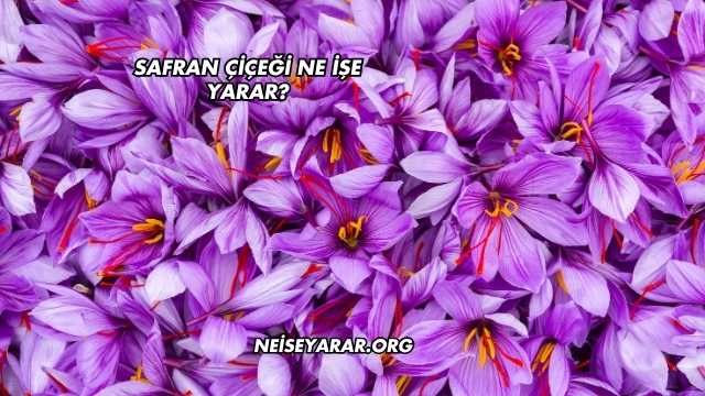 Safran Çiçeği Ne İşe Yarar?