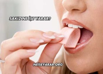 Sakız Ne İşe Yarar?
