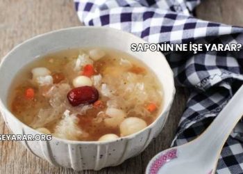 Saponin Ne İşe Yarar?