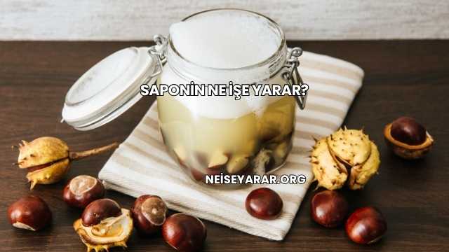 Saponin Ne İşe Yarar?