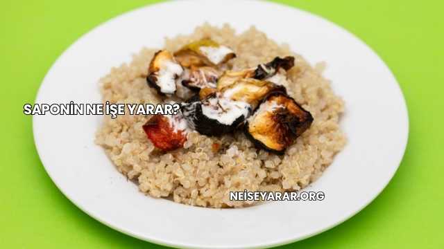 Saponin Ne İşe Yarar?