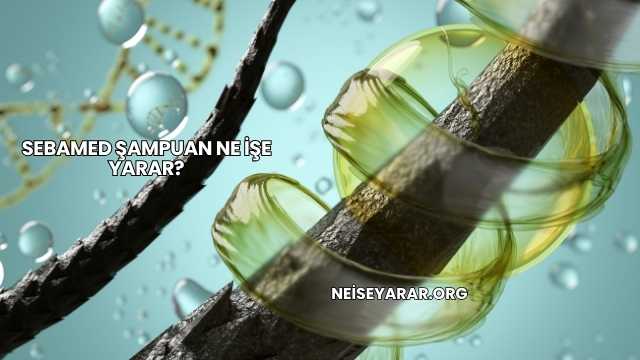 Sebamed Şampuan Ne İşe Yarar?