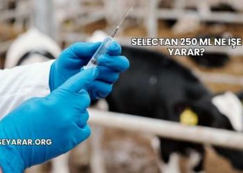 Selectan 250 Ml Ne İşe Yarar?