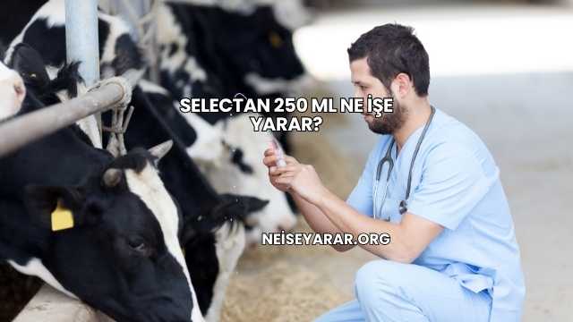 Selectan 250 Ml Ne İşe Yarar?