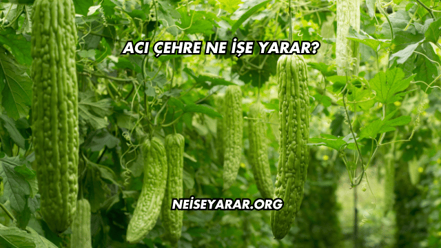 Acı Çehre Ne İşe Yarar?