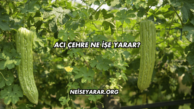 Acı Çehre Ne İşe Yarar?