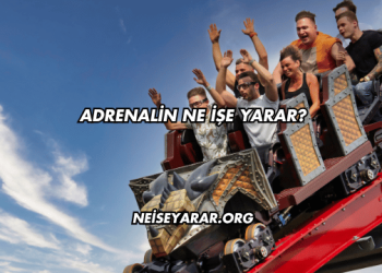 Adrenalin Ne İşe Yarar?