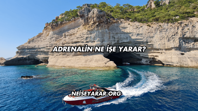 Adrenalin Ne İşe Yarar?