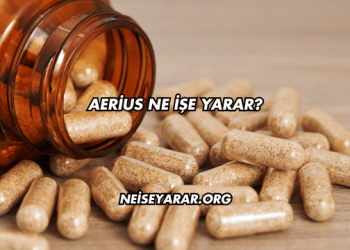 Aerius Ne İşe Yarar?