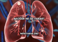 Akciğer Ne İşe Yarar?