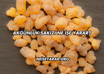 Akgünlük Sakızı Ne İşe Yarar?