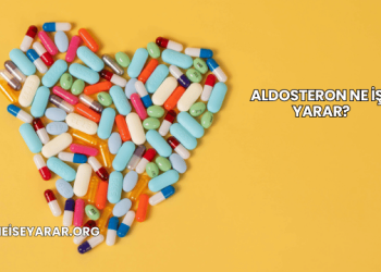Aldosteron Ne İşe Yarar?
