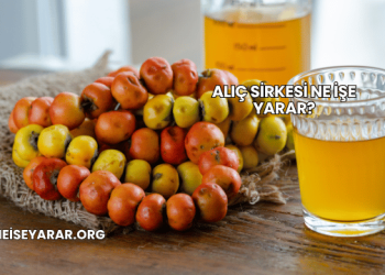 Alıç Sirkesi Ne İşe Yarar?