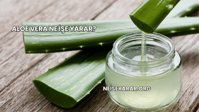 Aloe Vera Ne İşe Yarar?