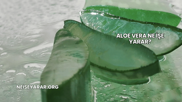 Aloe Vera Ne İşe Yarar?