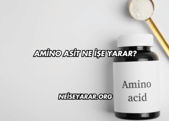 Amino Asit Ne İşe Yarar?