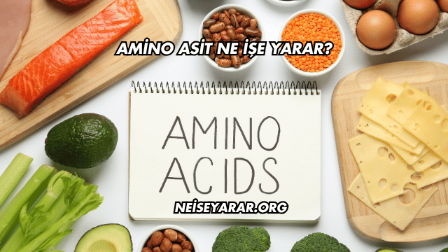 Amino Asit Ne İşe Yarar?