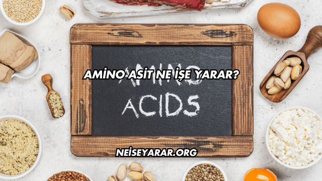 Amino Asit Ne İşe Yarar?