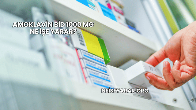 Amoklavin Bid 1000 Mg Ne İşe Yarar?