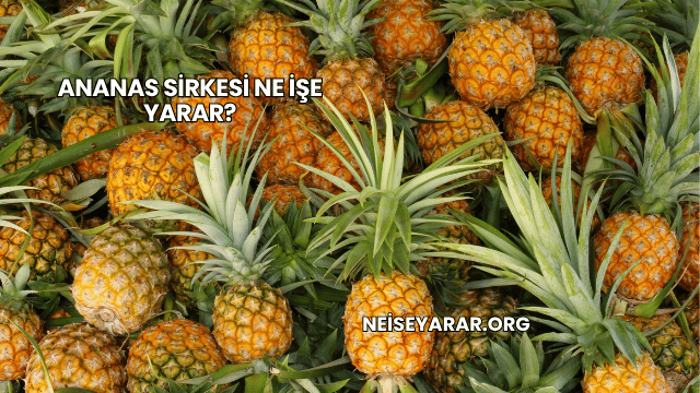Ananas Sirkesi Ne İşe Yarar?