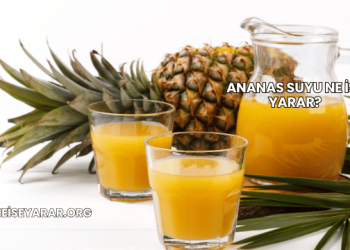 Ananas Suyu Ne İşe Yarar?