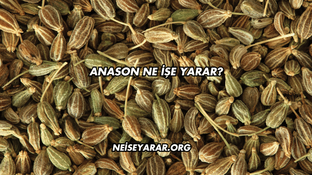Anason Ne İşe Yarar?