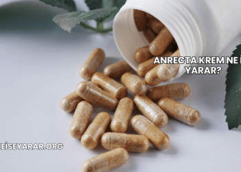 Anrecta Krem Ne İşe Yarar?