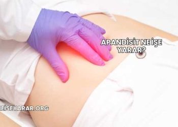 Apandisit Ne İşe Yarar?