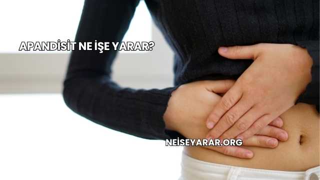 Apandisit Ne İşe Yarar?