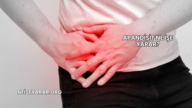 Apandisit Ne İşe Yarar?