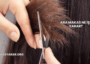 Ara Makas Ne İşe Yarar?