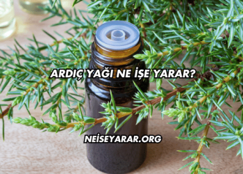 Ardıç Yağı Ne İşe Yarar?