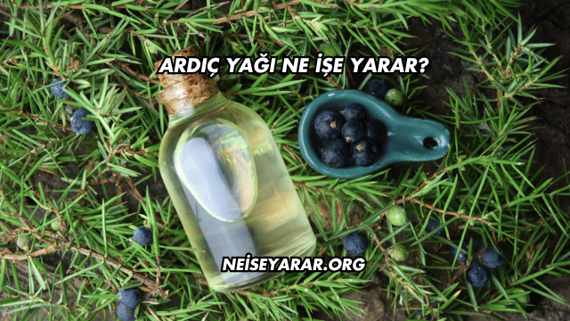 Ardıç Yağı Ne İşe Yarar?