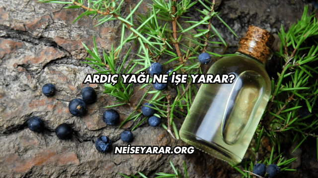 Ardıç Yağı Ne İşe Yarar?