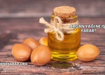 Argan Yağı Ne İşe Yarar?