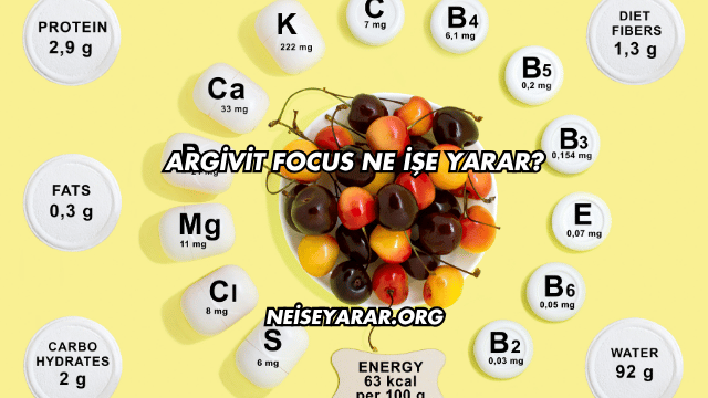 Argivit Focus Ne İşe Yarar?