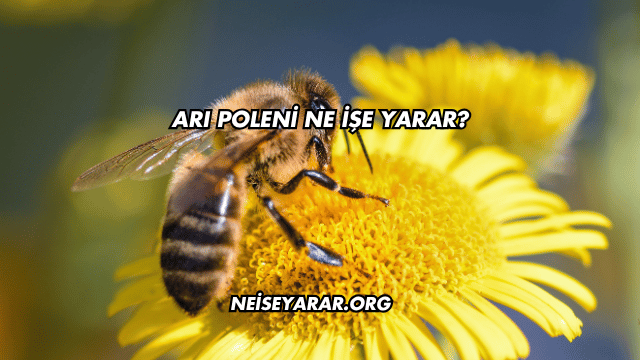 Arı Poleni Ne İşe Yarar?