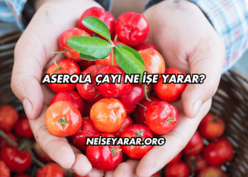 Aserola Çayı Ne İşe Yarar?