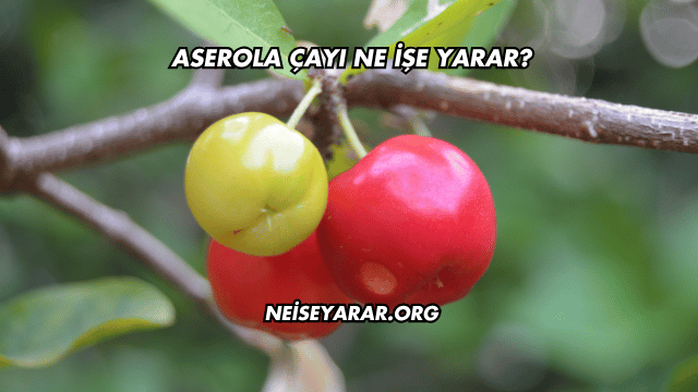 Aserola Çayı Ne İşe Yarar?