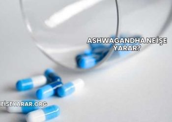 Ashwagandha Ne İşe Yarar?