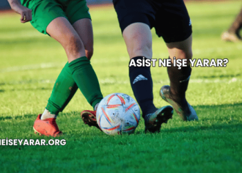 Asist Ne İşe Yarar?
