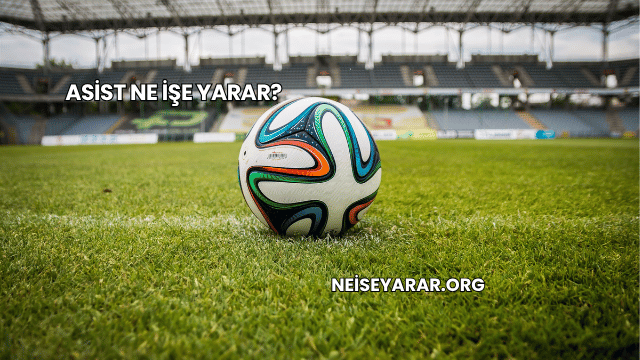 Asist Ne İşe Yarar?