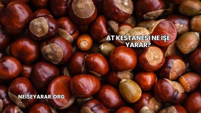At Kestanesi Ne İşe Yarar?