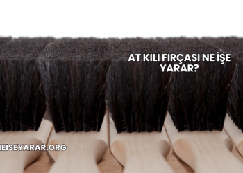 At Kılı Fırçası Ne İşe Yarar?