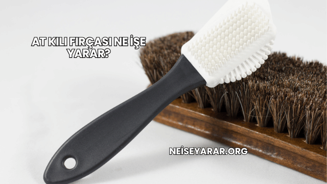 At Kılı Fırçası Ne İşe Yarar?