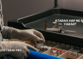 Atarax Hap Ne İşe Yarar?