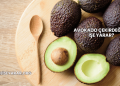 Avokado Çekirdeği Ne İşe Yarar?