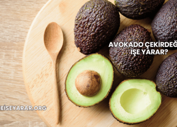 Avokado Çekirdeği Ne İşe Yarar?