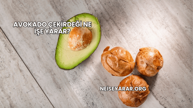 Avokado Çekirdeği Ne İşe Yarar?