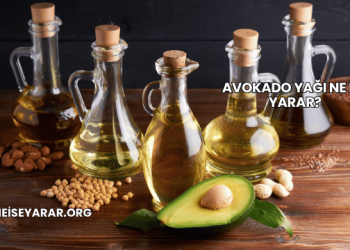Avokado Yağı Ne İşe Yarar?